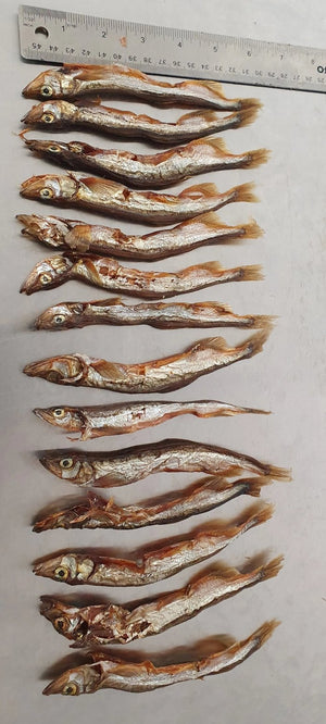 Icelandic Whole Capelin