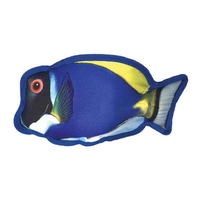 Tropical Blue Tang