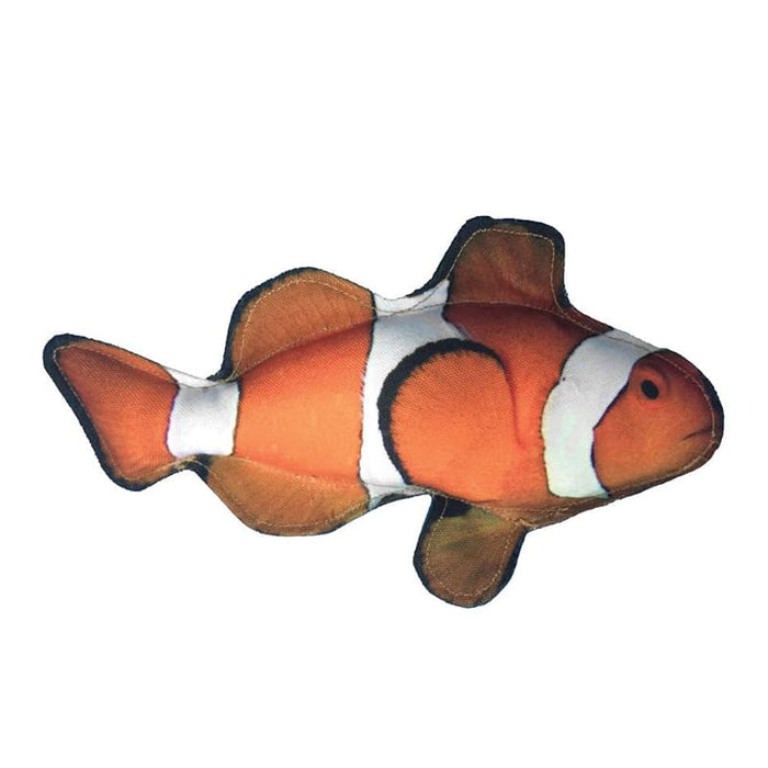 Tropical Clownfish