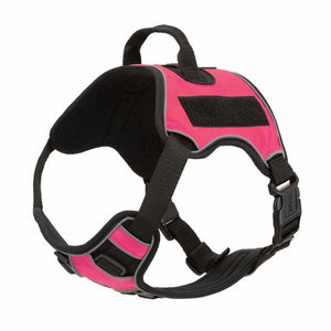 Quest Multipurpose Dog Harness