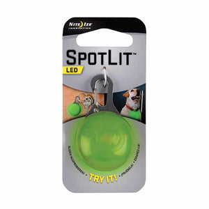 Spotlit