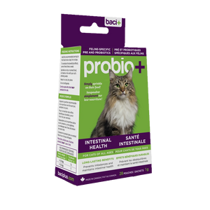 Probio+ Cat